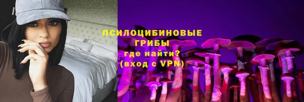 ешки Алексин