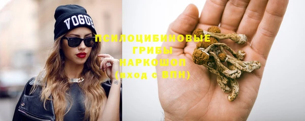 ешки Алексин