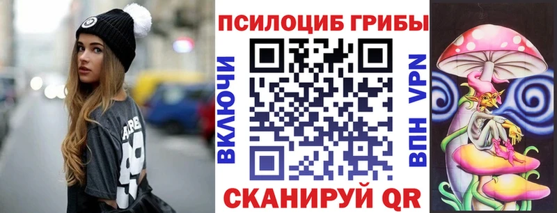 darknet клад  Родники  Псилоцибиновые грибы Psilocybine cubensis  купить наркотики сайты 
